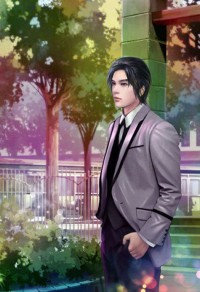 傻駙馬